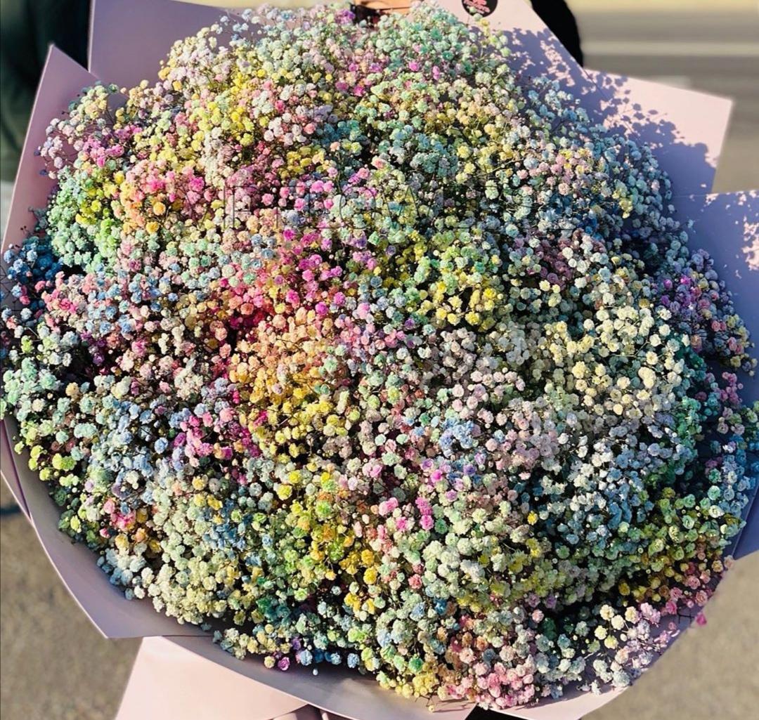 Цветы гипсофилы букет фото разноцветные