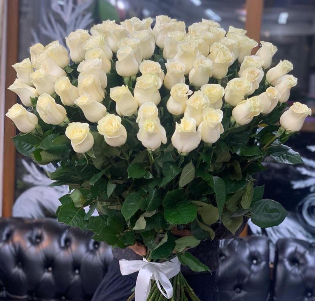 Голландские розы белые